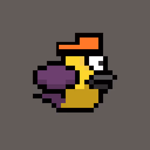 OmniBird 1729