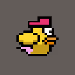 OmniBird 996