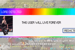 Banner #295