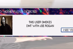 113