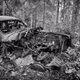 Car Junkyard Sweden by RockRuna