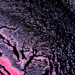 Pink Sand