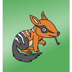 Naughty Numbat