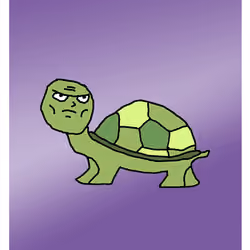 Tense Tortoise