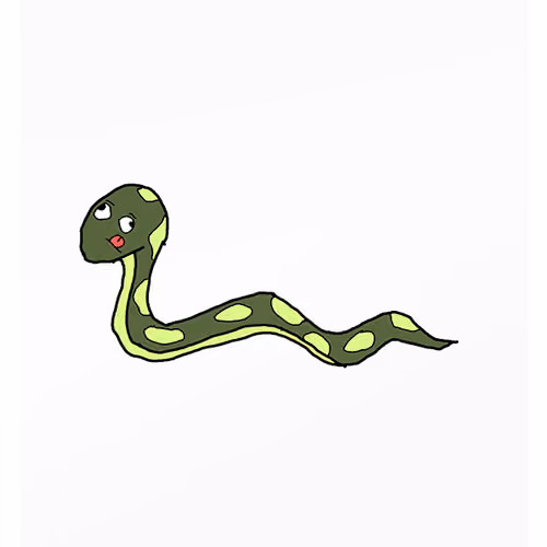Smug Snake