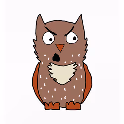 Blunt Barn Owl