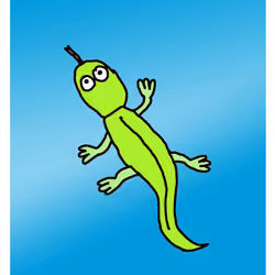 Lairy Lizard