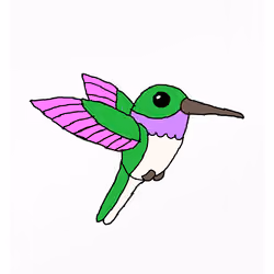 Hodl Hummingbird