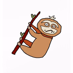 Selfish Sloth