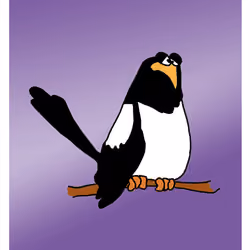 Miserable Magpie
