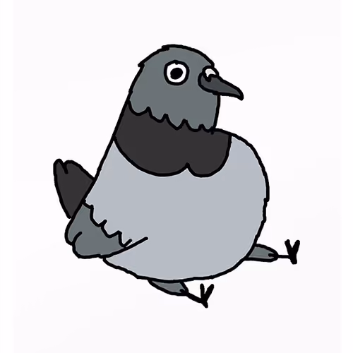 Piggy Pigeon