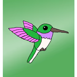 Hodl Hummingbird