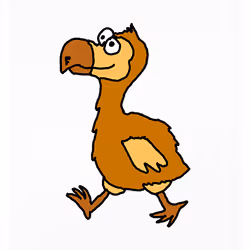 Dopey Dodo