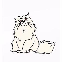 Perilous Persian Cat