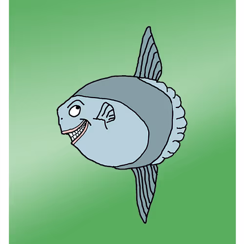 Super-Duper Sunfish
