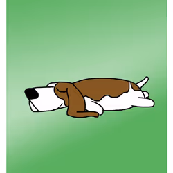 Bland Baset Hound