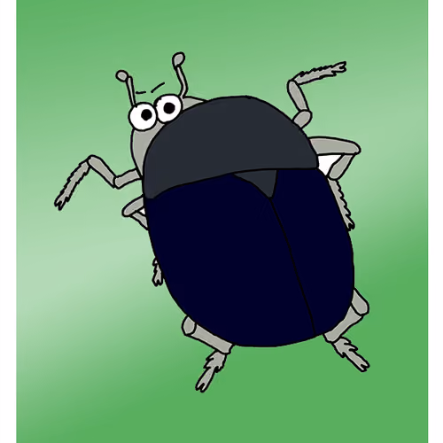 Bad Beetle