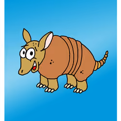 Argumentative Armadillo