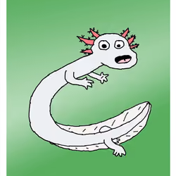 Oh No! Olm