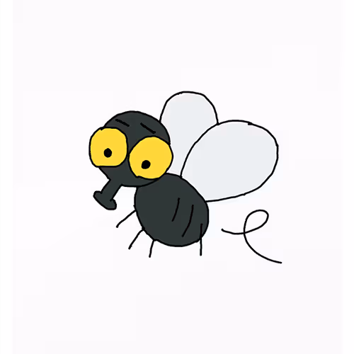 Fussy Fly