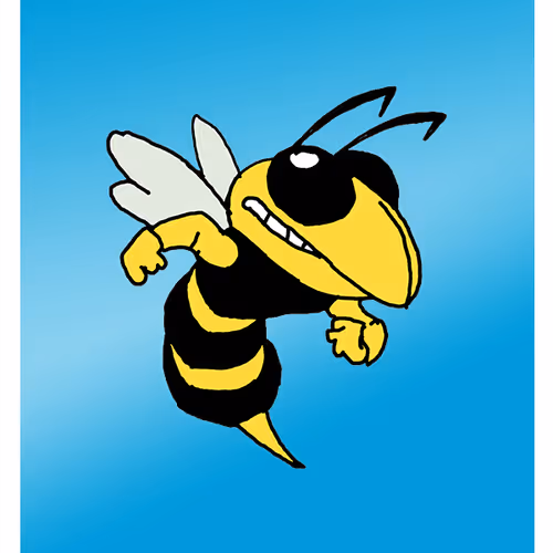 Hot-headed Hornet