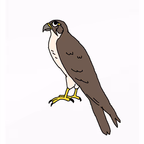 Flaky Falcon