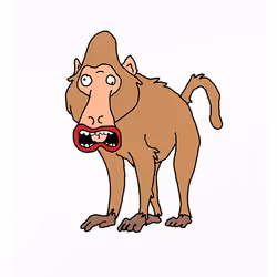 Blundering Baboon
