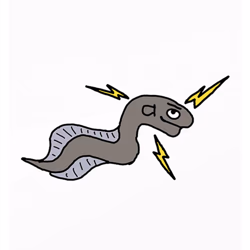 Emotional Electric Eel