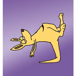 Knackered Kangaroo