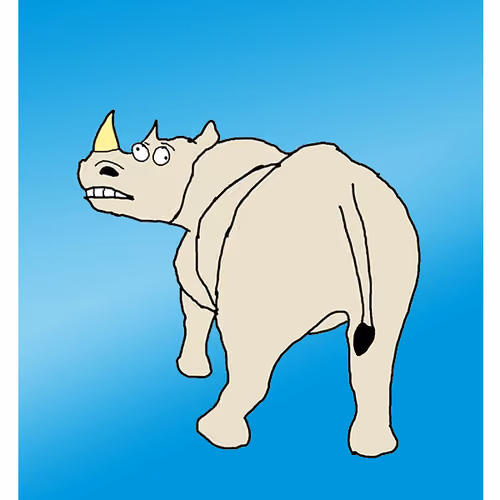 Random Rhino