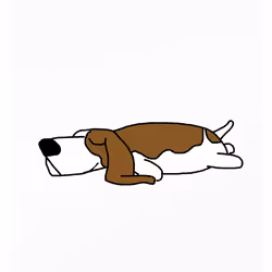Bland Baset Hound