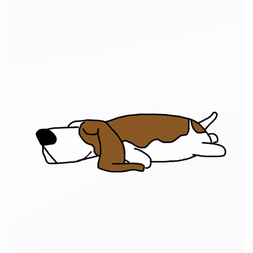Bland Baset Hound