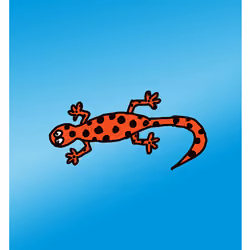 Sassy Salamander