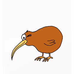 Kinky Kiwi