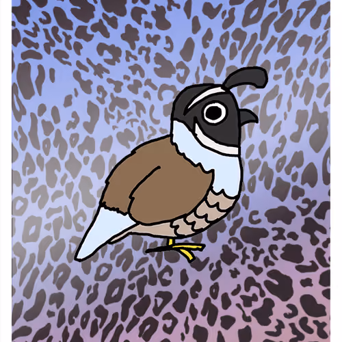 Questionable Quail
