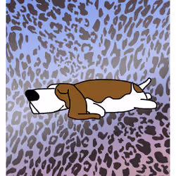 Bland Baset Hound