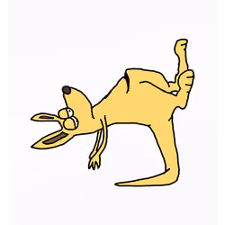 Knackered Kangaroo