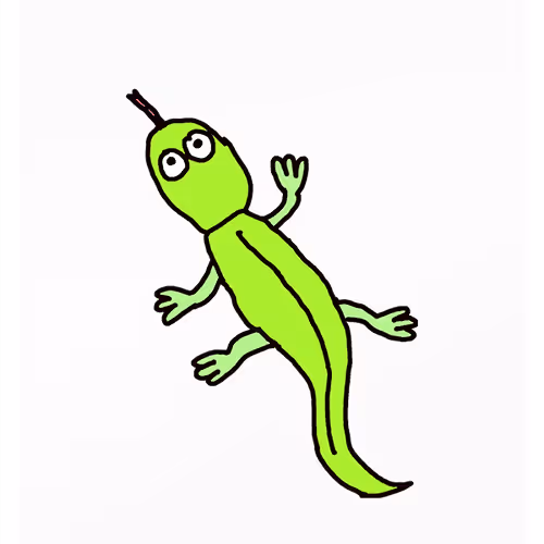 Lairy Lizard
