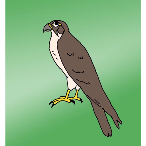 Flaky Falcon