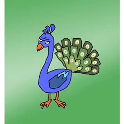 Provocative Peacock