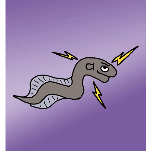 Emotional Electric Eel