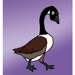 Glum Goose