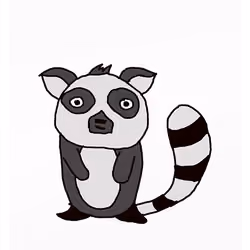 Revengeful Racoon