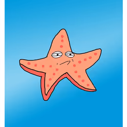 Silly Star Fish