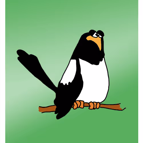 Miserable Magpie