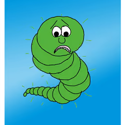 Gloomy Glow Worm