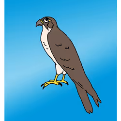 Flaky Falcon