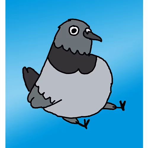 Piggy Pigeon