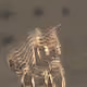193