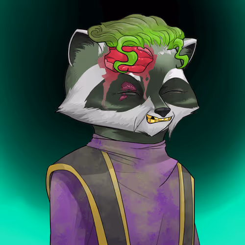 Raccoon Secret Society